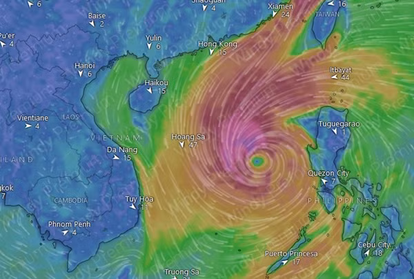 Mô hình của ECMWF dự báo bão/ ATNĐ sẽ vào Biển Đông ngày 24/10. Ảnh: Windy. Mô hình của ECMWF dự báo bão/ ATNĐ sẽ vào Biển Đông ngày 24/10. Ảnh: Windy.