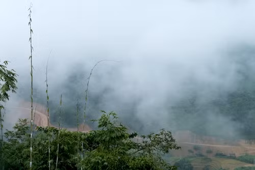 Một tuyến đường mới mở...