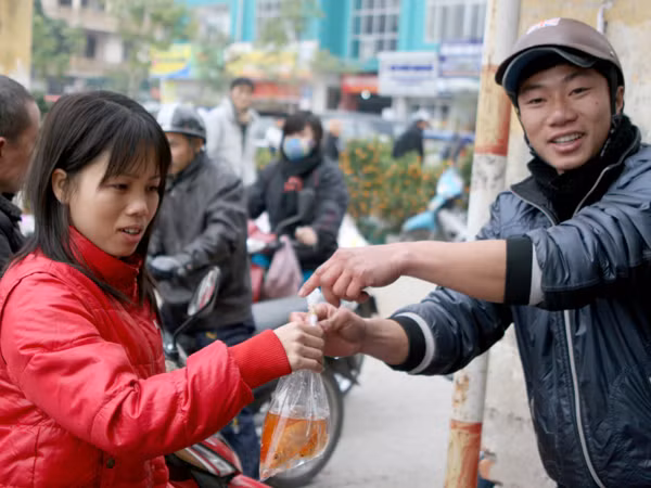 Mỗi người thường mua từ 3 đến 5 con