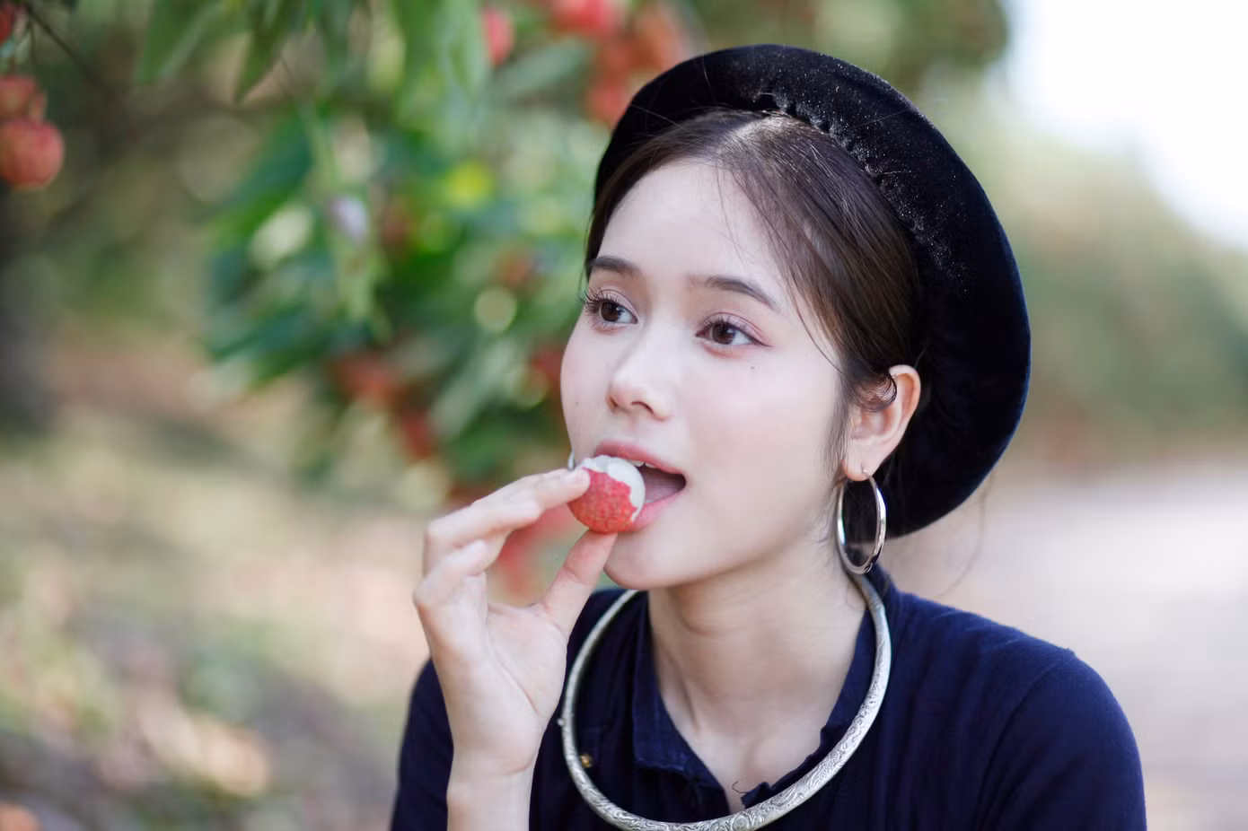Đến tham quan vườn vải thiều ở Bắc Giang, các bạn trẻ còn được trực tiếp thưởng thức quả ngon đặc sản này tại vườn. Ảnh: Nguyễn Thắng