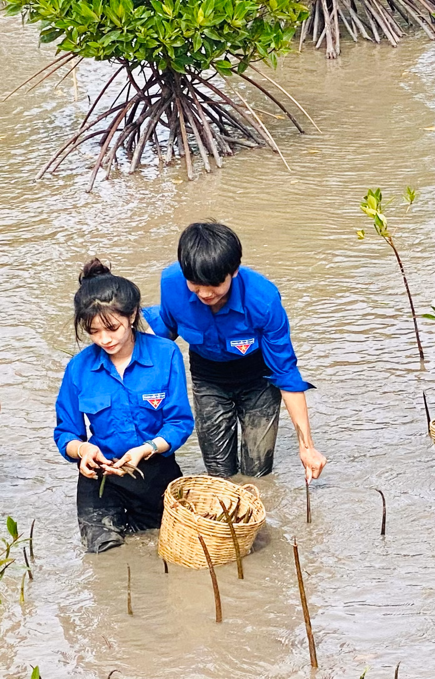 “Chân đạp bùn không sợ những loài sên” (Tố Hữu) “Chân đạp bùn không sợ những loài sên” (Tố Hữu)