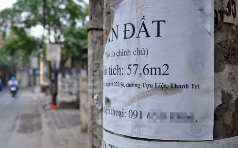 Giám đốc một số sàn giao dịch cho rằng, hình thức quảng cáo này đa số chỉ áp dụng với đất thổ cư hoặc chung cư mini