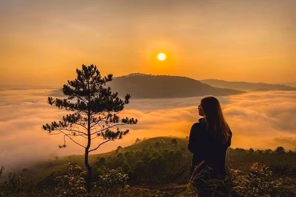 View “săn mây” đẹp ảo diệu ở Đà Lạt thông báo đóng cửa vì ý thức kém của du khách ảnh 8