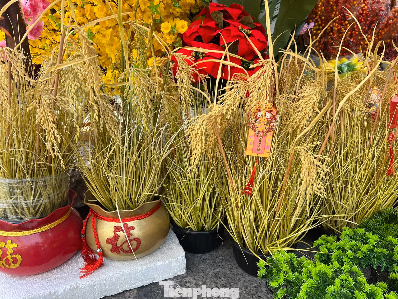 Những cây lúa nhựa nhìn từ xa cứ ngỡ là lúa thật. Nhiều người quan niệm, đầu năm trưng bày cây lúa trong nhà, cả năm sẽ no đủ, may mắn... Những cây lúa nhựa nhìn từ xa cứ ngỡ là lúa thật. Nhiều người quan niệm, đầu năm trưng bày cây lúa trong nhà, cả năm sẽ no đủ, may mắn...