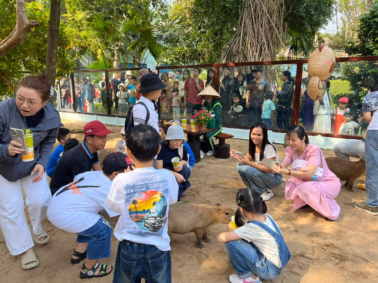 Rất nhiều du khách đứng bên ngoài chờ đợi để được vào chơi cùng capybara, nhiều người chờ từ sáng đến buổi chiều mới đến lượt. Rất nhiều du khách đứng bên ngoài chờ đợi để được vào chơi cùng capybara, nhiều người chờ từ sáng đến buổi chiều mới đến lượt.
