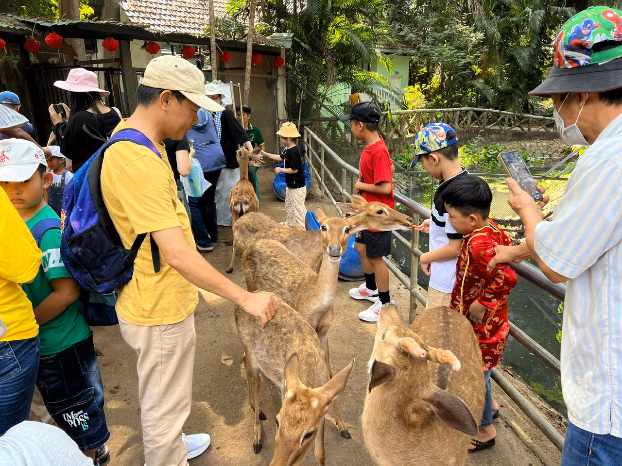 "Tôi thường cho các con vào sở thú vui chơi những dịp lễ, Tết. Tại đây, các con học được nhiều điều thú vị về thế giới động vật xung quanh, dạn dĩ và biết yêu thương động vật" - anh Tâm (đến từ huyện Nhà Bè, TPHCM) chia sẻ. "Tôi thường cho các con vào sở thú vui chơi những dịp lễ, Tết. Tại đây, các con học được nhiều điều thú vị về thế giới động vật xung quanh, dạn dĩ và biết yêu thương động vật" - anh Tâm (đến từ huyện Nhà Bè, TPHCM) chia sẻ.