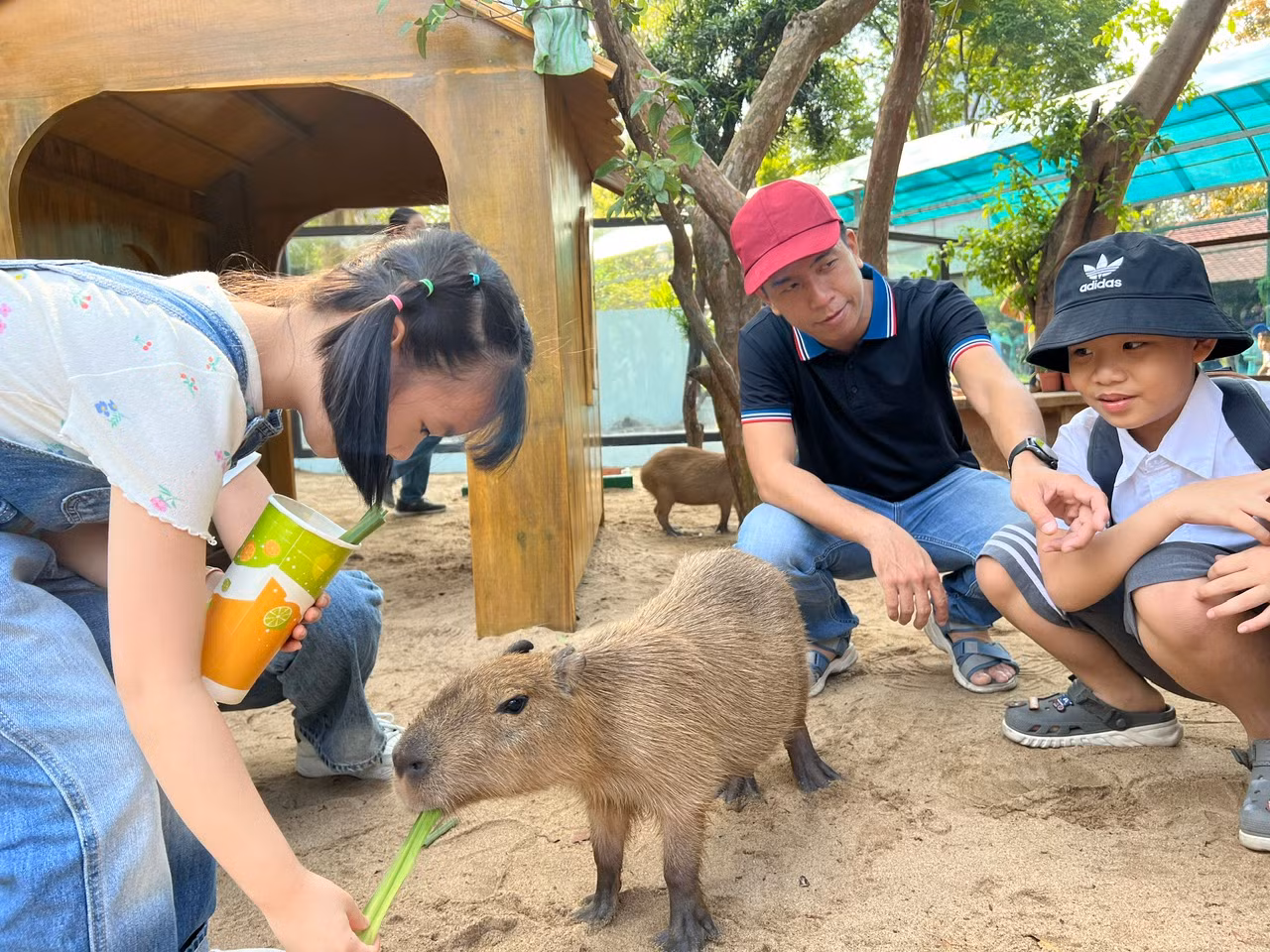 Capybara là loài gặm nhấm lớn nhất trên thế giới, có hình dáng giống thỏ, cơ thể tròn và được mệnh danh là "bộ trưởng bộ ngoại giao" bởi có thể làm bạn với bất kỳ loại động vật nào. Loài chuột này cũng được yêu thích bởi dễ gần với con người. Capybara là loài gặm nhấm lớn nhất trên thế giới, có hình dáng giống thỏ, cơ thể tròn và được mệnh danh là "bộ trưởng bộ ngoại giao" bởi có thể làm bạn với bất kỳ loại động vật nào. Loài chuột này cũng được yêu thích bởi dễ gần với con người.