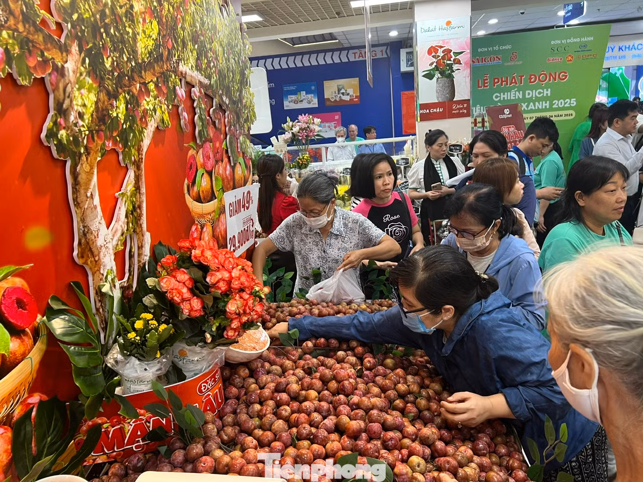 Mận hậu Sơn La bán tại các siêu thị ở TPHCM được nhập trực tiếp từ nhà vườn của tỉnh Sơn La, không qua khâu trung gian. Hàng luôn tươi mới, giá phải chăng nên người tiêu dùng TPHCM xếp hàng để mua Mận hậu Sơn La bán tại các siêu thị ở TPHCM được nhập trực tiếp từ nhà vườn của tỉnh Sơn La, không qua khâu trung gian. Hàng luôn tươi mới, giá phải chăng nên người tiêu dùng TPHCM xếp hàng để mua