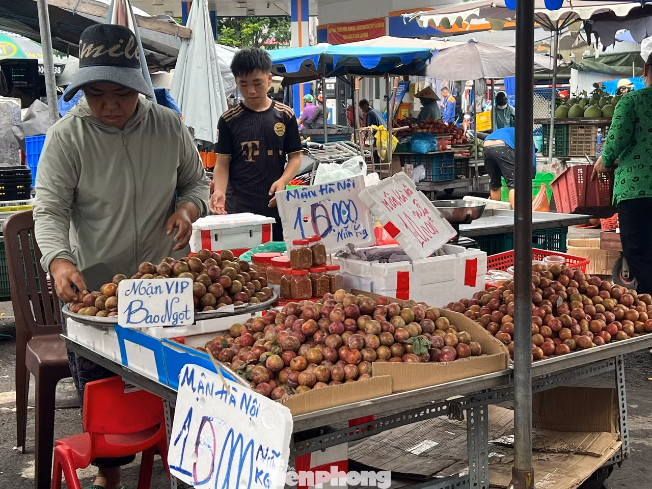 Tại các chợ truyền thống và nhiều tuyến đường ở TPHCM, mận hậu bán đầy các quầy sạp, giá chỉ 20.000 đồng/kg. Mận hậu đang vào mùa nên quả to, ngọt chứ không còn vị chua chát như hồi đầu mùa, đặc biệt giá rất rẻ Tại các chợ truyền thống và nhiều tuyến đường ở TPHCM, mận hậu bán đầy các quầy sạp, giá chỉ 20.000 đồng/kg. Mận hậu đang vào mùa nên quả to, ngọt chứ không còn vị chua chát như hồi đầu mùa, đặc biệt giá rất rẻ