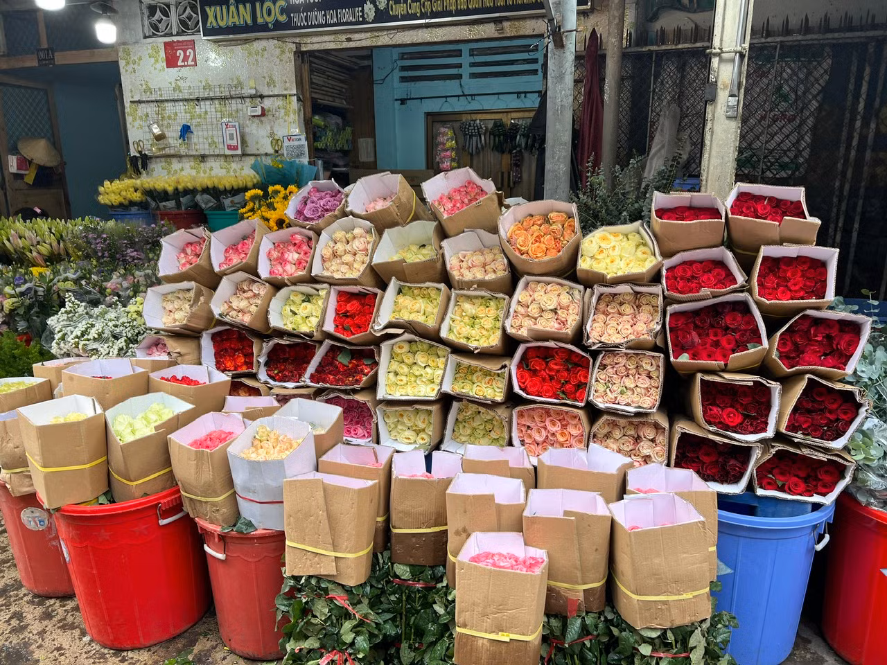 Giá hoa hồng Đà Lạt tăng giá nhẹ, có thời điểm lên 450.000 đồng/bó (50 bông), hiện giá giảm còn 420.000 - 400.000 đồng/bó. Sức mua chậm. Giá hoa hồng Đà Lạt tăng giá nhẹ, có thời điểm lên 450.000 đồng/bó (50 bông), hiện giá giảm còn 420.000 - 400.000 đồng/bó. Sức mua chậm.