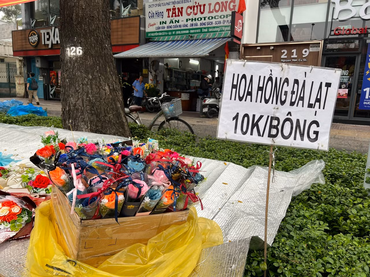 Hoa hồng Đà Lạt chỉ 10.000 đồng/bông. "Mặc dù hôm nay đúng ngày 14/2 nhưng giá hoa không tăng, thậm chí còn giảm ngay từ đầu ngày để hút khách mua" - chị Lan (bán tươi ở góc đường Nguyễn Văn Cừ, quận 5) cho biết. Hoa hồng Đà Lạt chỉ 10.000 đồng/bông. "Mặc dù hôm nay đúng ngày 14/2 nhưng giá hoa không tăng, thậm chí còn giảm ngay từ đầu ngày để hút khách mua" - chị Lan (bán tươi ở góc đường Nguyễn Văn Cừ, quận 5) cho biết.