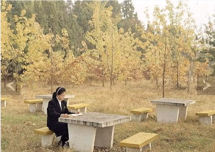 Một sinh viên ôn bài trong khuôn viên trường học