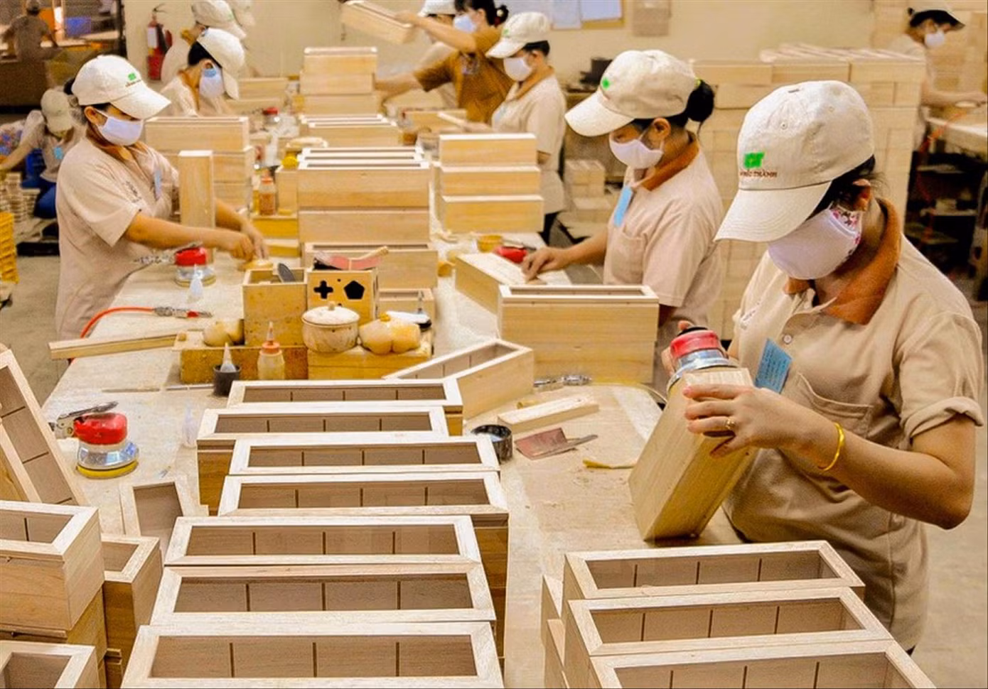 Nhiều DN chế biến xuất khẩu gỗ phải ngưng sản xuất do thiếu nguyên liệu Nhiều DN chế biến xuất khẩu gỗ phải ngưng sản xuất do thiếu nguyên liệu