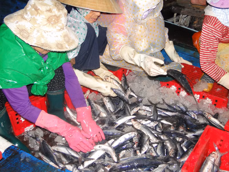 Hơn nửa tháng, tàu ông Can kiếm được hơn 200 triệu . Ảnh: Văn Chương
