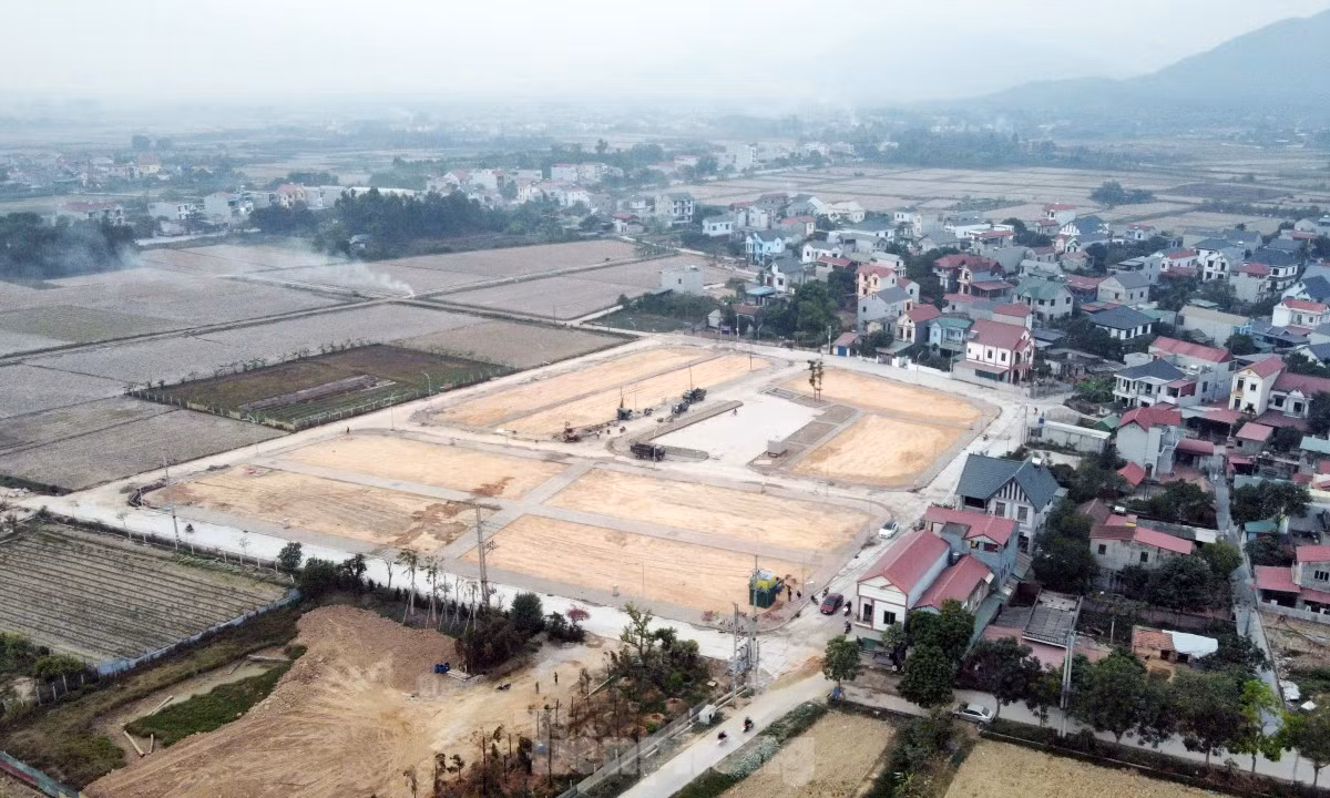Ngày 8/3, huyện Sóc Sơn (Hà Nội) sẽ đấu giá lại 36 thửa đất tại thôn Đông Lai, xã Quang Tiến. Ảnh: Đình Phong. Ngày 8/3, huyện Sóc Sơn (Hà Nội) sẽ đấu giá lại 36 thửa đất tại thôn Đông Lai, xã Quang Tiến. Ảnh: Đình Phong.