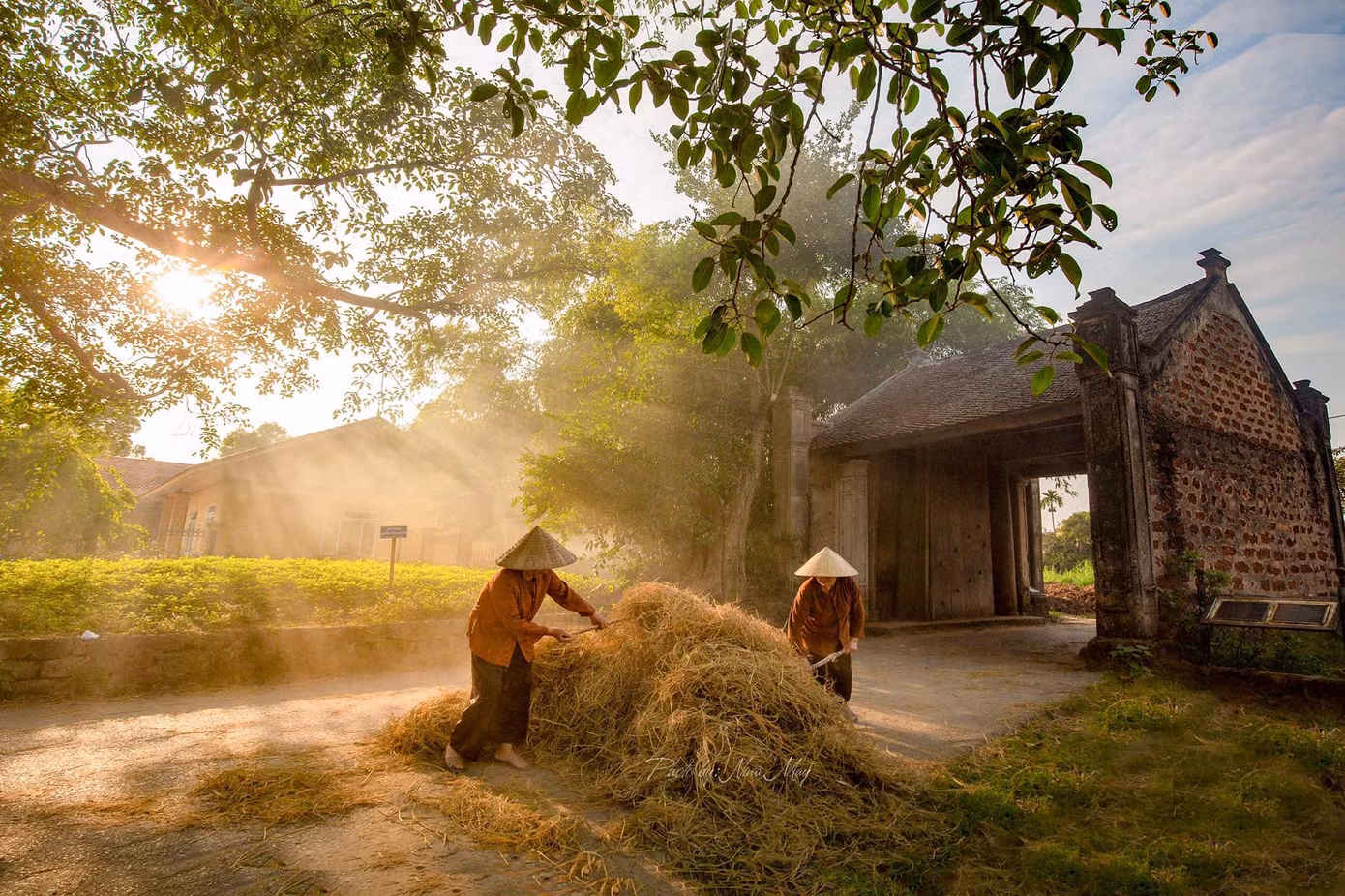 Sau mùa gặt, rơm khô trải khắp đường làng - Ảnh: Nina May Sau mùa gặt, rơm khô trải khắp đường làng - Ảnh: Nina May