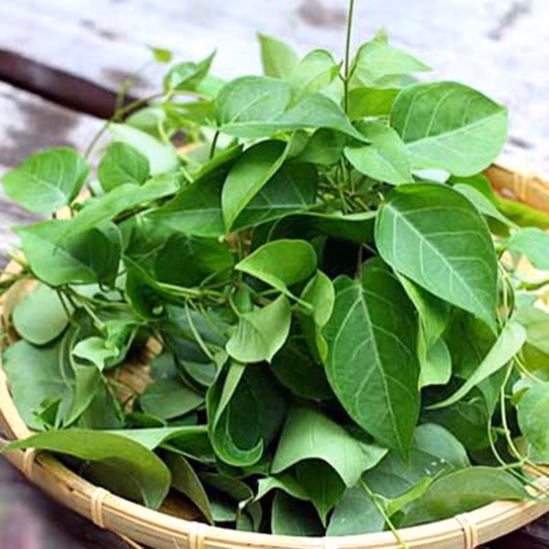 Lá giang thường mọc dại ở bờ ao, bờ rào - Ảnh: Thực phẩm đồng xanh Lá giang thường mọc dại ở bờ ao, bờ rào - Ảnh: Thực phẩm đồng xanh