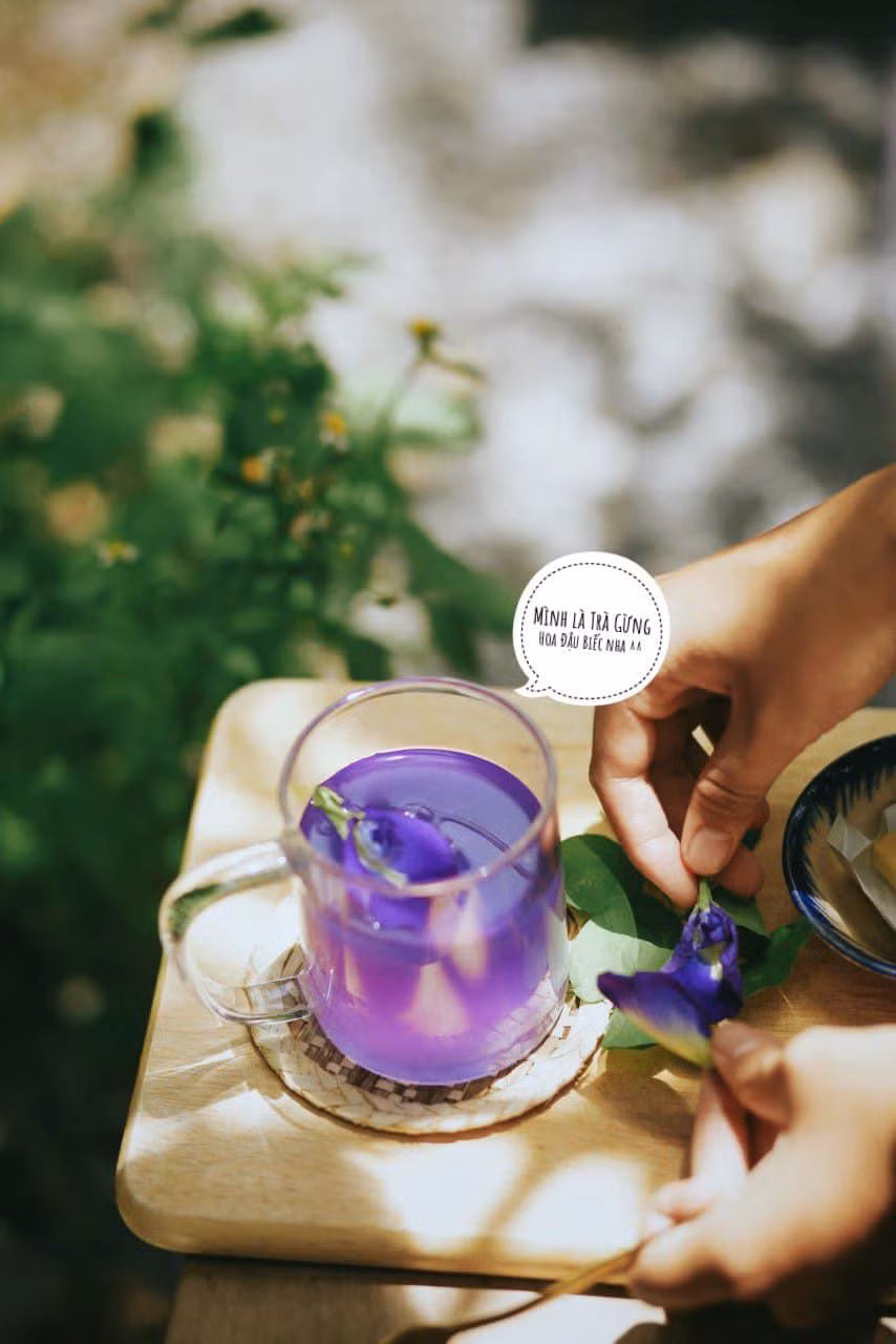 Ảnh: Hoa Yên An Bình Ảnh: Hoa Yên An Bình