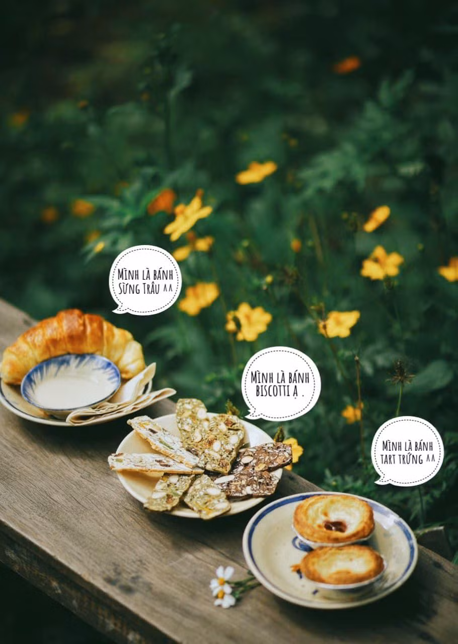Ảnh: Hoa Yên An Bình Ảnh: Hoa Yên An Bình