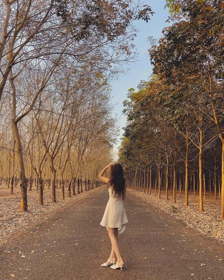 Ảnh: Nhung Hy
