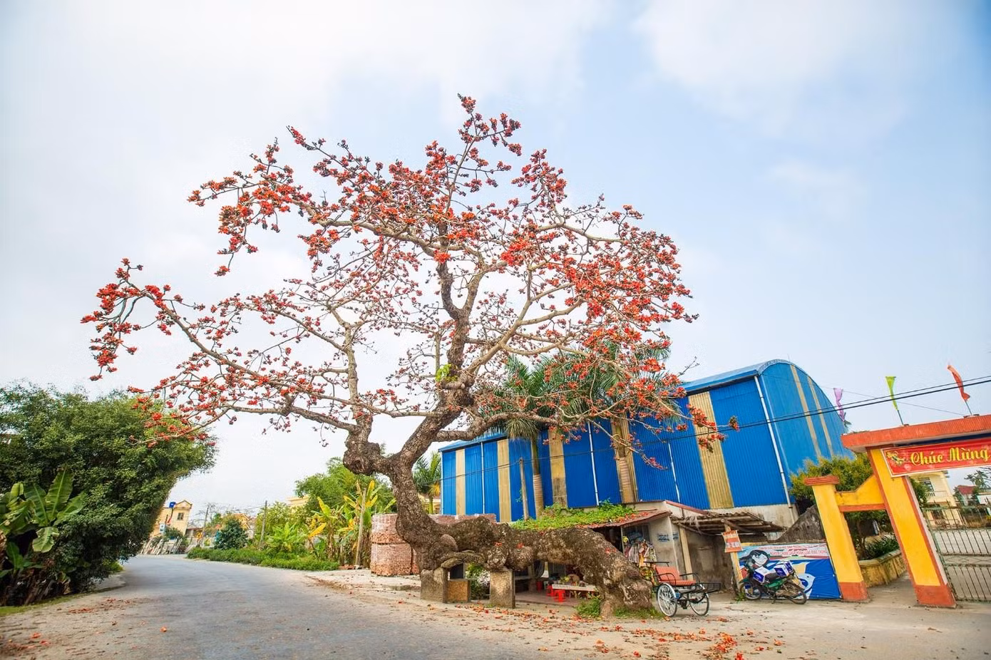 Ảnh: Vũ Ngọc Thiện Ảnh: Vũ Ngọc Thiện