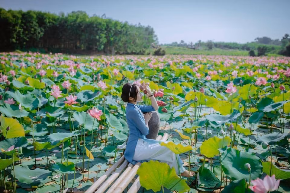 Ảnh: Nguyễn Trinh Ảnh: Nguyễn Trinh