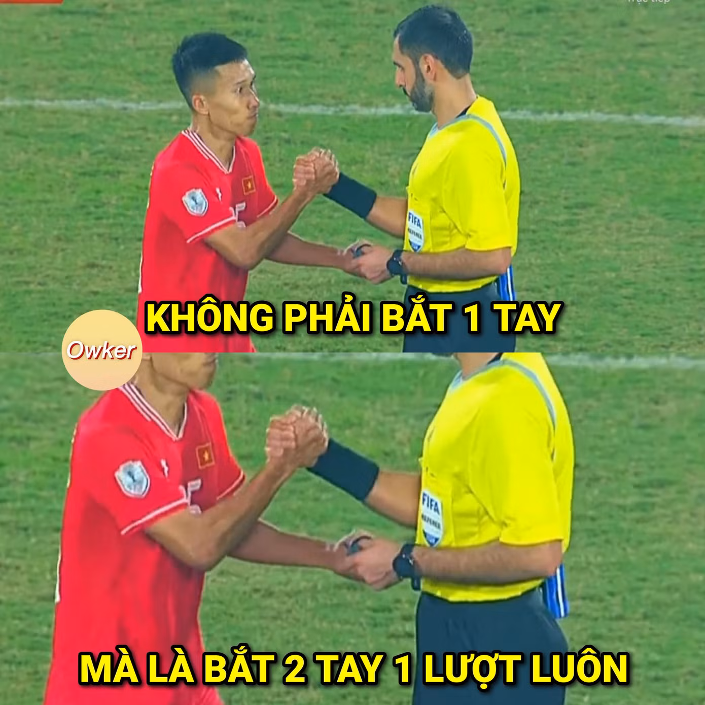 (Ảnh chế: Fandom Owker)