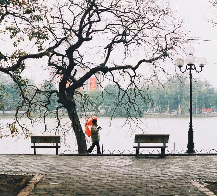 (Ảnh minh họa từ Internet)