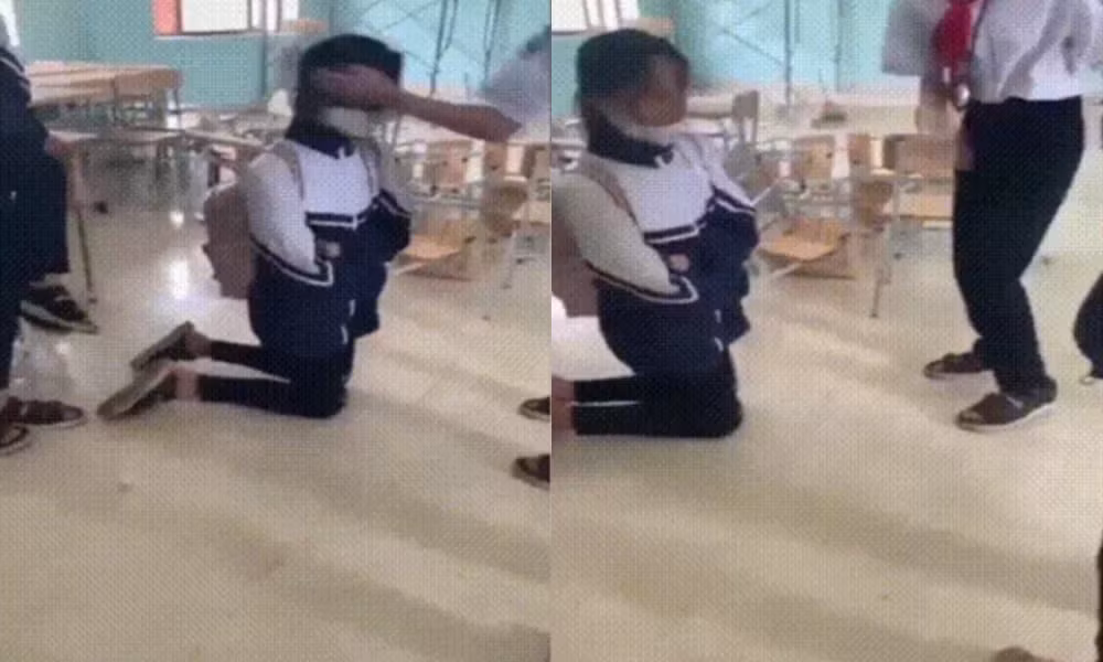 (Ảnh cắt từ clip)