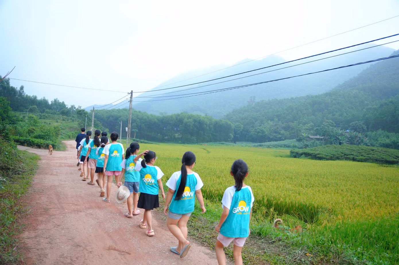 Các em nhỏ trải nghiệm cuộc sống đồng quê tại Làng Háo Hức. Các em nhỏ trải nghiệm cuộc sống đồng quê tại Làng Háo Hức.