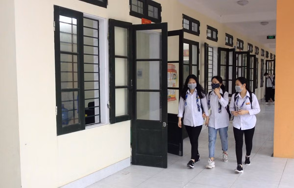 (Ảnh minh họa từ Internet)