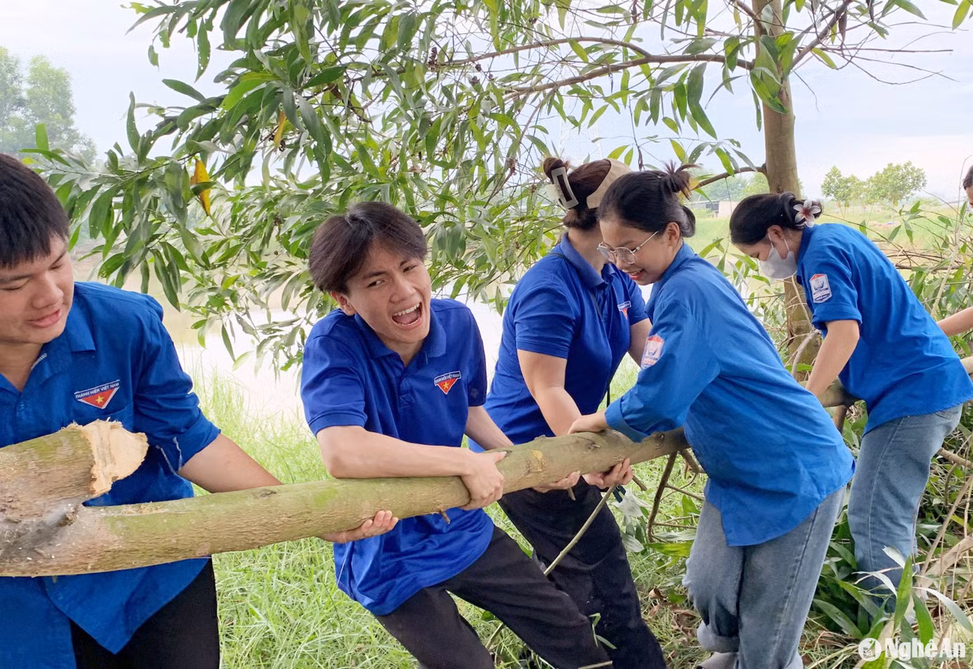 Thời gian qua, lực lượng đoàn viên, thanh niên đã tham gia giải tỏa lượng lớn cây cối trong hành lang tuyến phải giải tỏa. (Ảnh: Huyện Đoàn Diễn Châu) Thời gian qua, lực lượng đoàn viên, thanh niên đã tham gia giải tỏa lượng lớn cây cối trong hành lang tuyến phải giải tỏa. (Ảnh: Huyện Đoàn Diễn Châu)