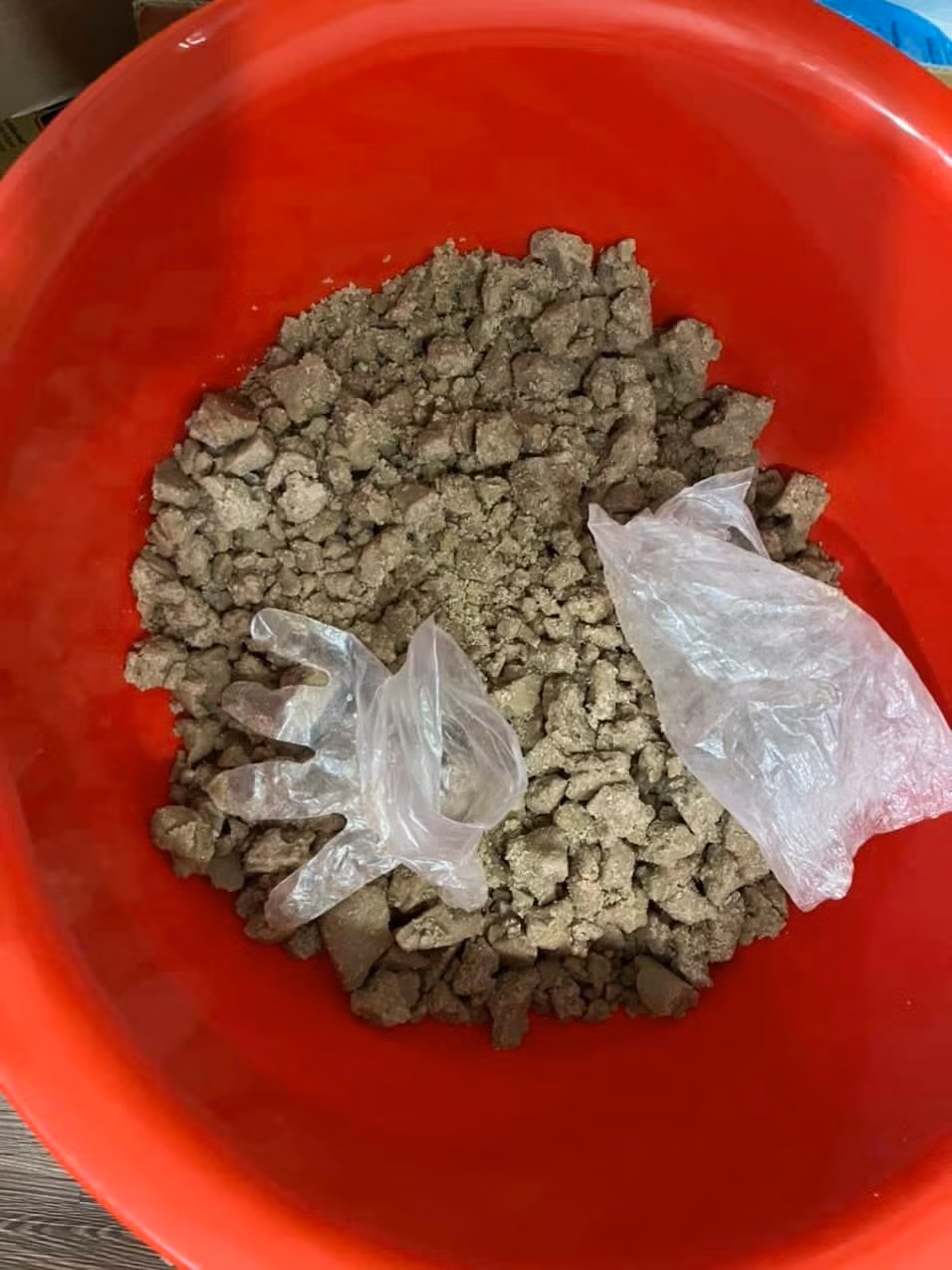 Ma tuý "đông trùng" bị thu giữ.