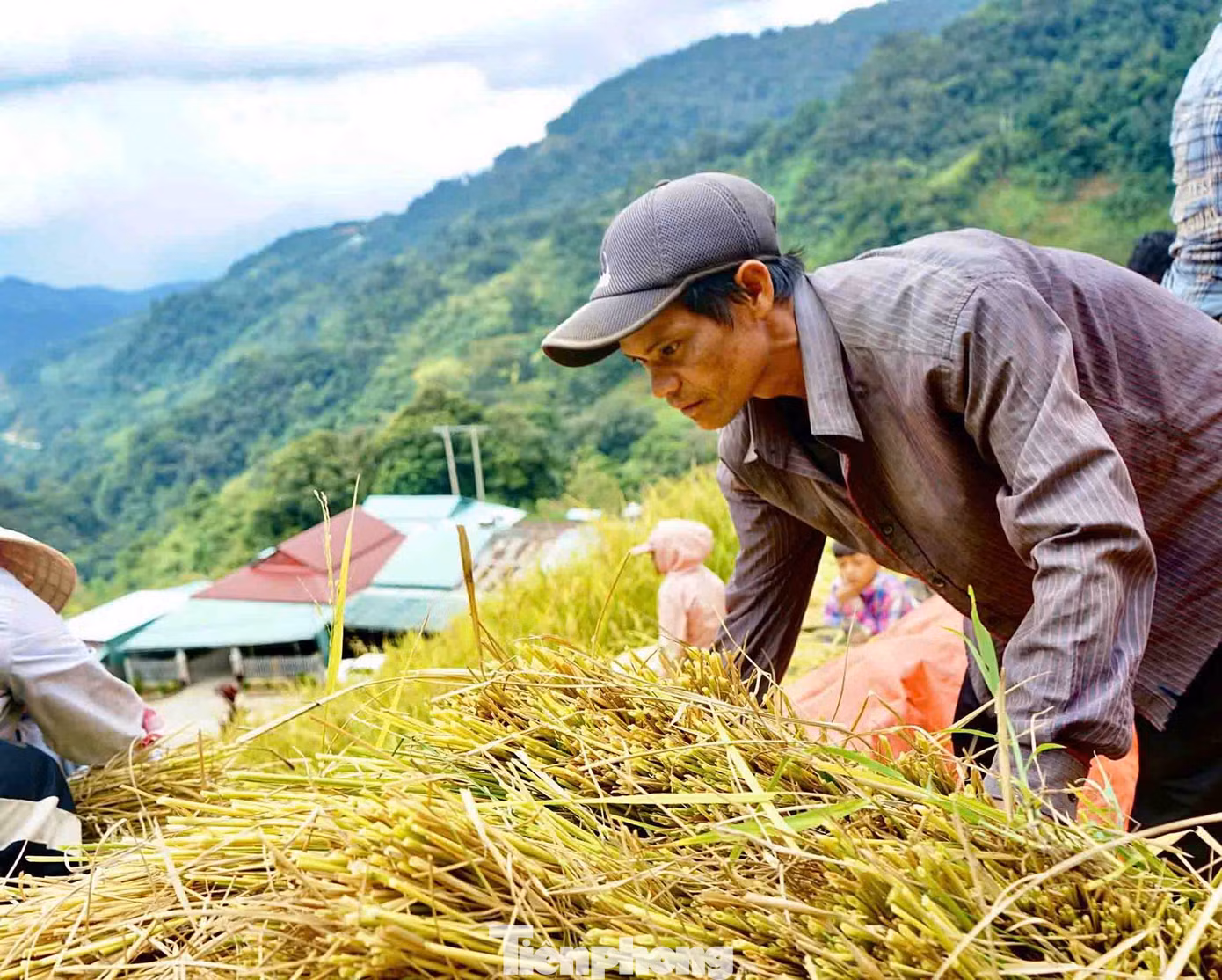 “Năm nay ruộng nhà mình cũng như bà con lúa tốt và được mùa, bà con nơi đây thấy rất là vui và phấn khởi, không phải lo thiếu lúa do mất mùa như năm trước”, ông Hồ Văn Dem cho biết.