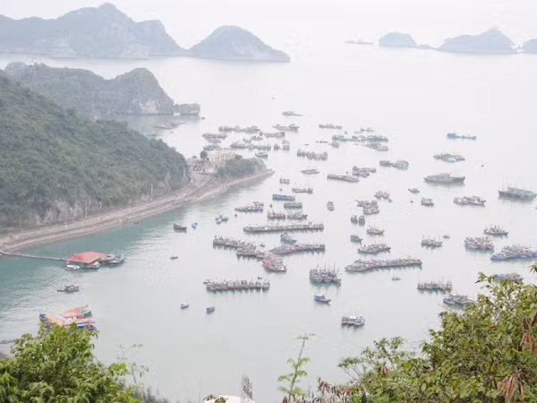 Từ siêu pháo phóng tầm mắt bao quát cửa biển Hải Phòng Ảnh: lam khê