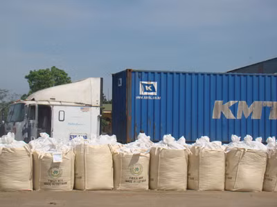 Sản phẩm thức ăn gia súc được đóng bao vận chuyển bằng container xuất khẩu