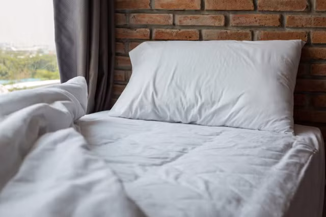 Những dấu hiệu cho thấy ngôi nhà của bạn không tốt cho sức khỏe ảnh 2