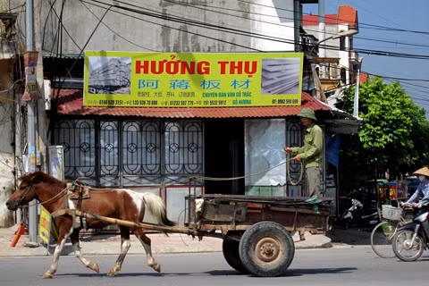 Cửa hàng quảng cáo bán gỗ trắc, gỗ hương với dòng chữ Trung Quốc khá lớn