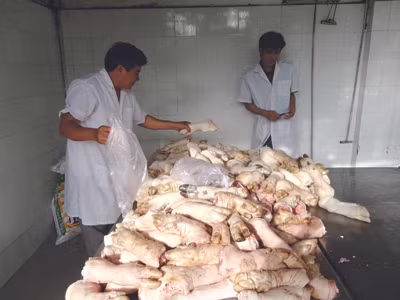 Chân lợn thối từ Đồng Nai bị trạm kiểm dịch động vật Thủ Đức bắt giữ. Chân lợn thối từ Đồng Nai bị trạm kiểm dịch động vật Thủ Đức bắt giữ