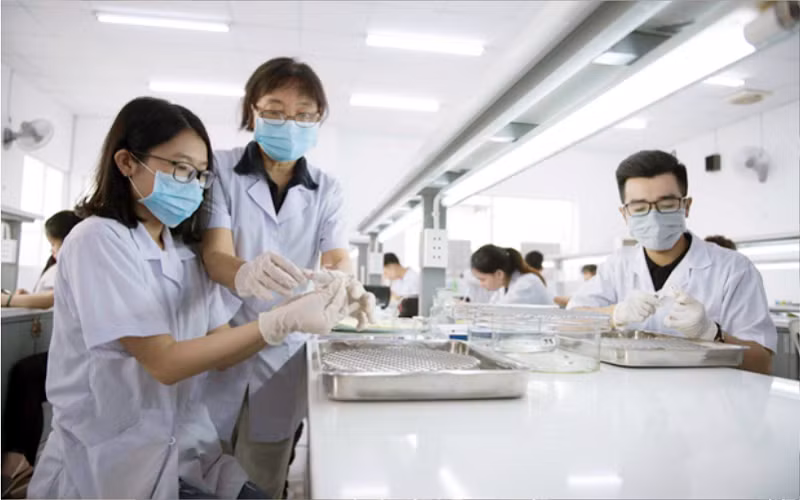 Sinh viên ngành Dược học tại trường ĐH Quốc tế Hồng Bàng.