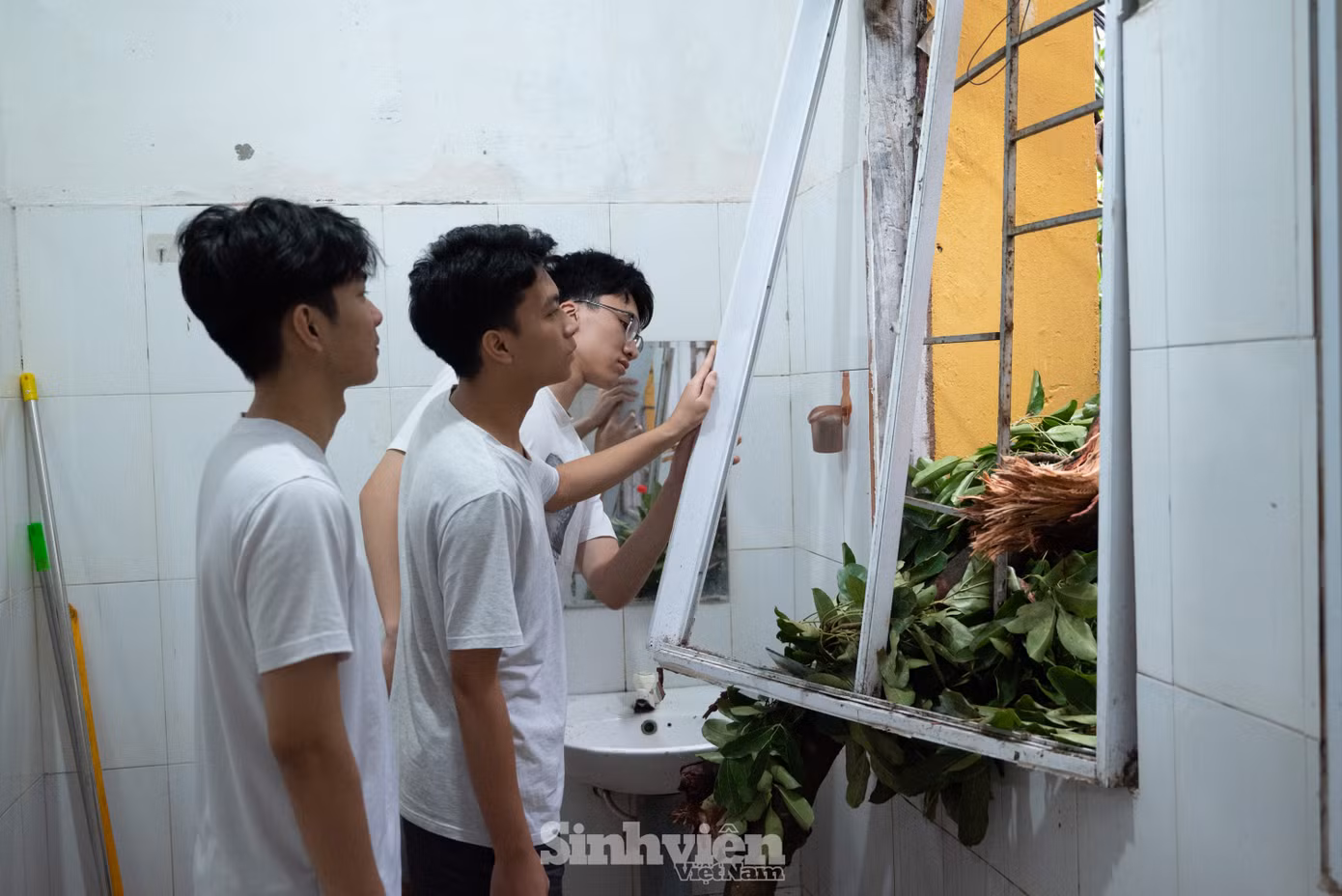 Bạn Vương Gia Khánh - tân sinh viên Đại học Bách khoa Hà Nội cho biết: "Khoảng 4 giờ 30 ngày 7/9, một cây to bất ngờ đổ vào nhà vệ sinh của phòng B5-100 KTX Đại học Bách khoa, cửa kính vỡ tan."
