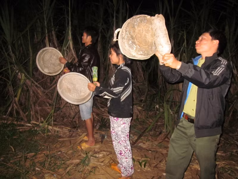 Người dân gõ xoong, chậu đuổi voi. Người dân gõ xoong, chậu đuổi voi