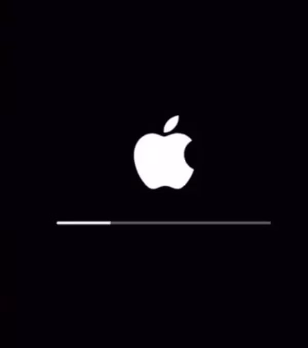Hình ảnh "logo tử thần" mà một số người dùng gặp phải khi cài đặt iPhone 15. Ảnh: X.