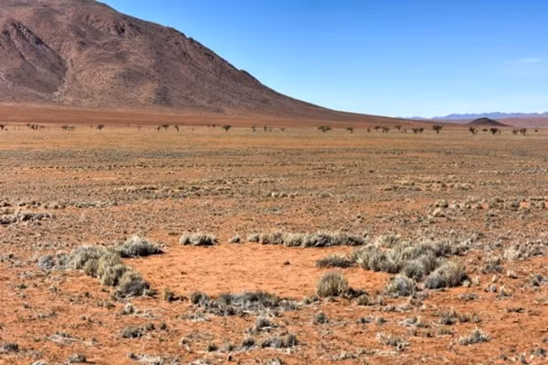 Cận cảnh "vòng tròn tiên" ở Sa mạc Namib tại Namibia. Ảnh: Demerzel21/ Getty Images Plus. Cận cảnh "vòng tròn tiên" ở Sa mạc Namib tại Namibia. Ảnh: Demerzel21/ Getty Images Plus.