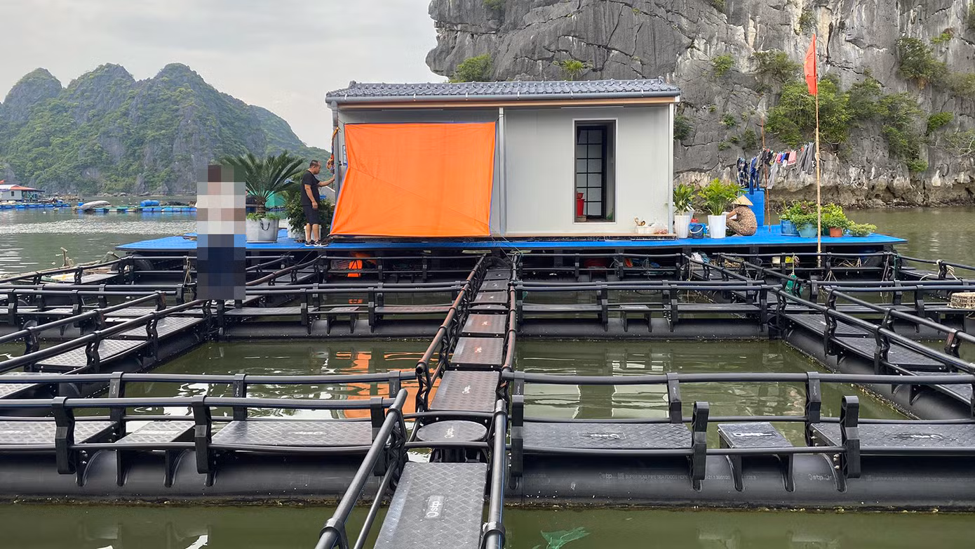 Căn nhà nổi và ô lồng duy nhất được làm hoàn toàn bằng vật liệu nhựa HDPE của gia đình ông Cao Xuân Hải (hơn 60 tuổi) có giá khoảng 2,3 tỷ đồng, cao gấp gần 4 lần lồng bè của 9 hộ trước và gấp khoảng 7 lần lồng bè truyền thống. Theo ông Hải, phao nổi liền khối, không có khe thoáng khiến mặt nước tù đọng. Thành ô lồng rất cao khiến việc thả lưới, thu hoạch hay vệ sinh lưới rất khó khăn, mất nhiều công sức hơn. Căn nhà nổi và ô lồng duy nhất được làm hoàn toàn bằng vật liệu nhựa HDPE của gia đình ông Cao Xuân Hải (hơn 60 tuổi) có giá khoảng 2,3 tỷ đồng, cao gấp gần 4 lần lồng bè của 9 hộ trước và gấp khoảng 7 lần lồng bè truyền thống. Theo ông Hải, phao nổi liền khối, không có khe thoáng khiến mặt nước tù đọng. Thành ô lồng rất cao khiến việc thả lưới, thu hoạch hay vệ sinh lưới rất khó khăn, mất nhiều công sức hơn.