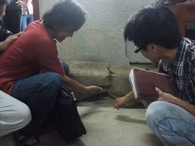 “Cột đá thề” đã được di dời thực chất là một trong những cột đá có lỗ gắn kiểu “vì kèo” thuộc một miếu đá được tìm thấy ở Đền Hùng từ thập kỷ 1960 