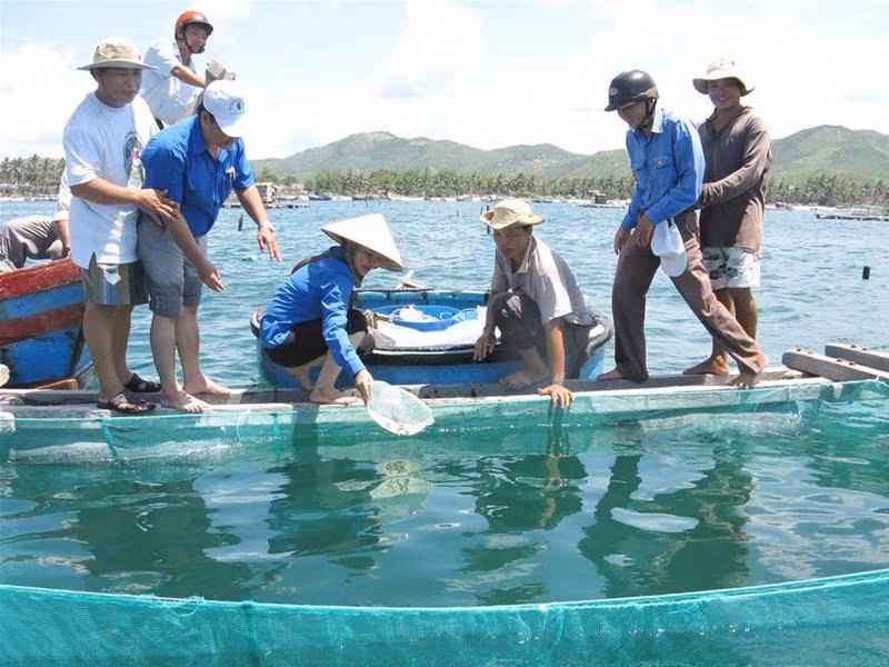 Cán bộ Tỉnh Đoàn Phú Yên cùng đoàn viên thanh niên thả cá bóp thương phẩm