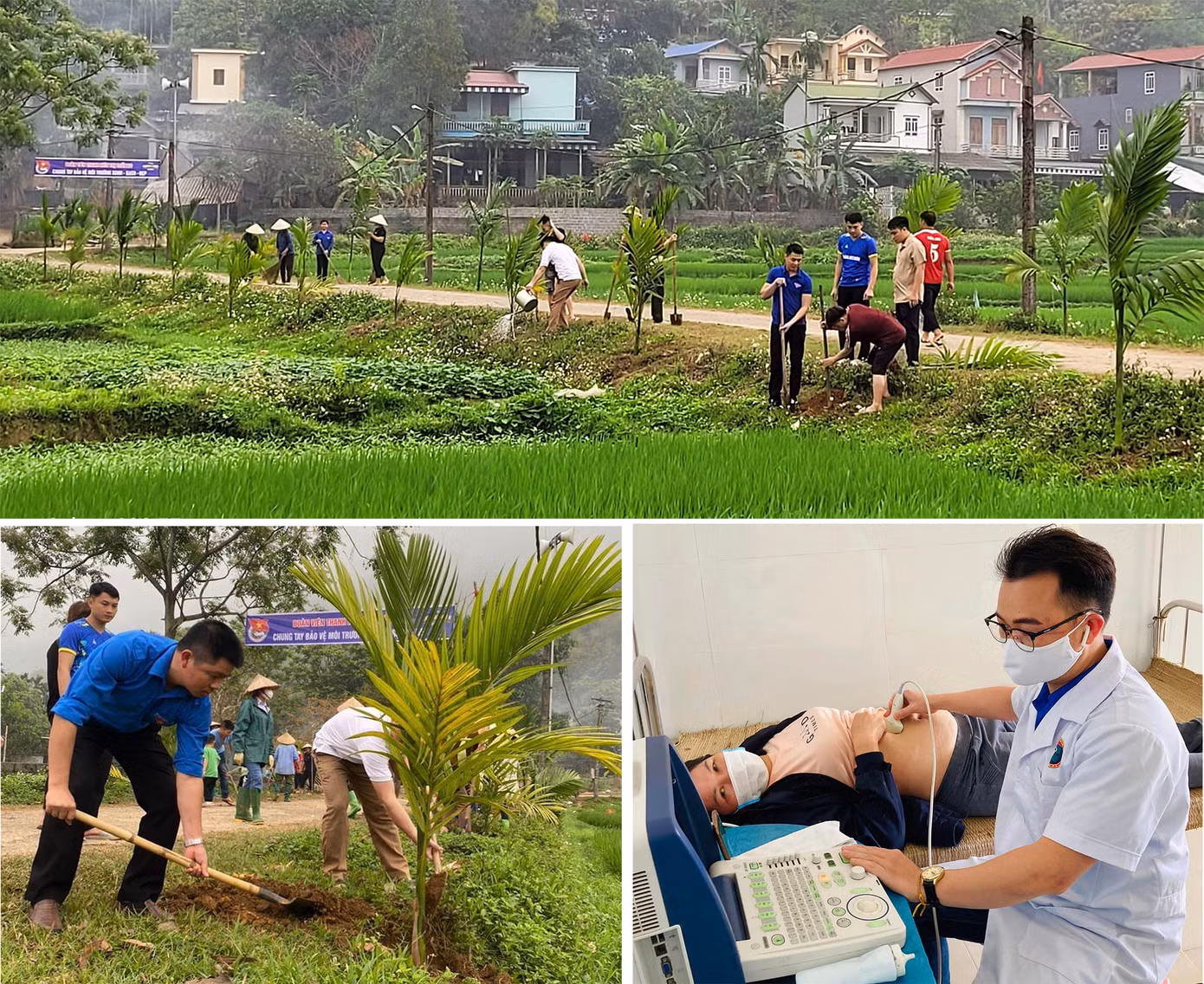 Đoàn viên thanh niên Hòa Bình triển khai trồng cây xanh, khám chữa bệnh, tư vấn sức khỏe cho cộng đồng. Ảnh: TĐHB Đoàn viên thanh niên Hòa Bình triển khai trồng cây xanh, khám chữa bệnh, tư vấn sức khỏe cho cộng đồng. Ảnh: TĐHB