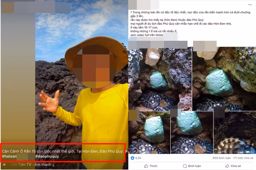 Người đăng tải video cho rằng "ổ rắn 15 con độc nhất thế giới" (Ảnh chụp màn hình). Người đăng tải video cho rằng "ổ rắn 15 con độc nhất thế giới" (Ảnh chụp màn hình).