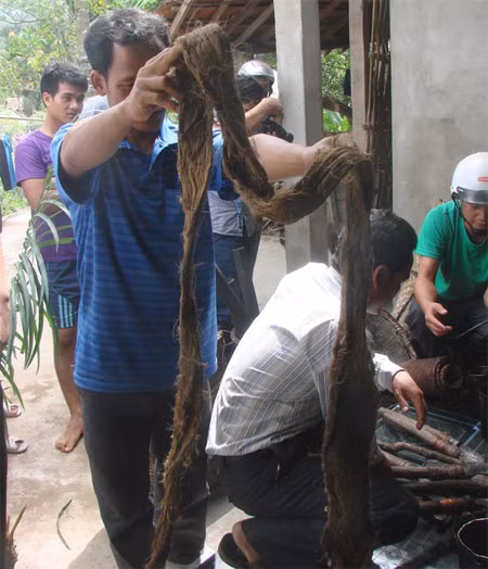 Băng vải làm từ vỏ cây, dùng làm khố